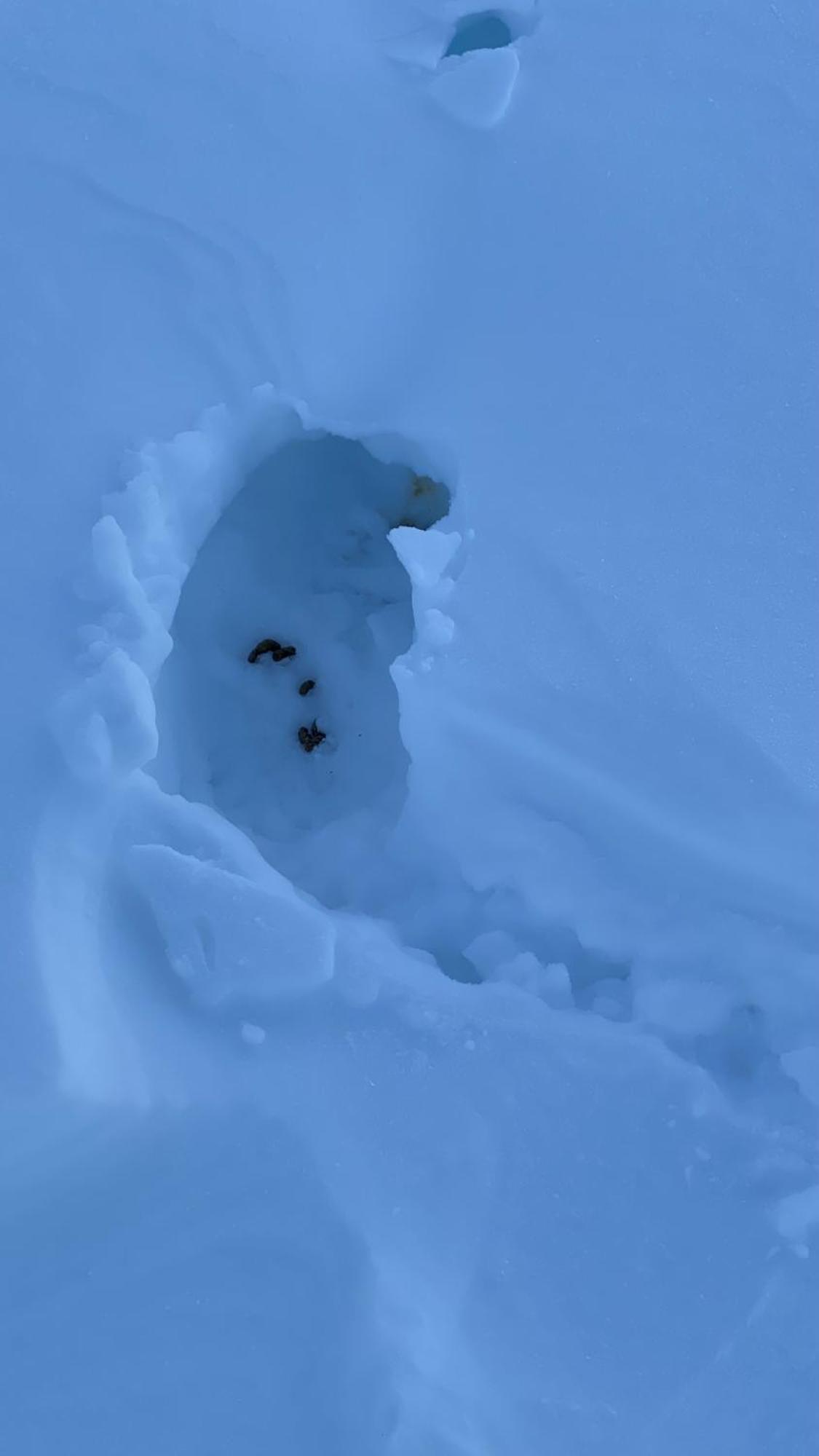 Bjerkely, Sjusjoen Villa Exteriör bild