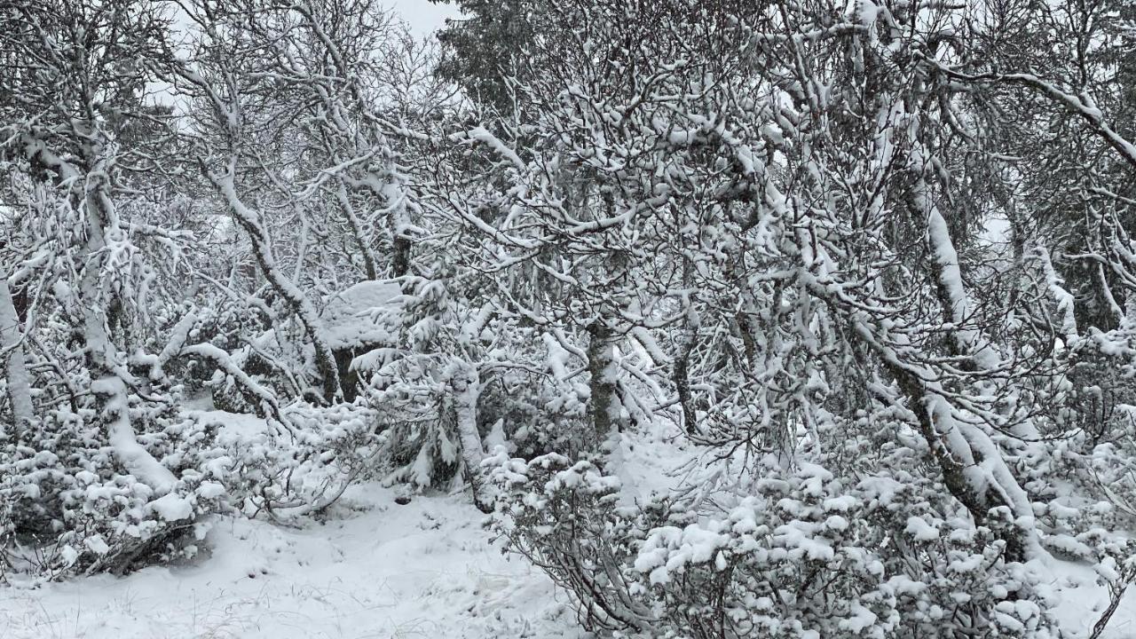 Bjerkely, Sjusjoen Villa Exteriör bild
