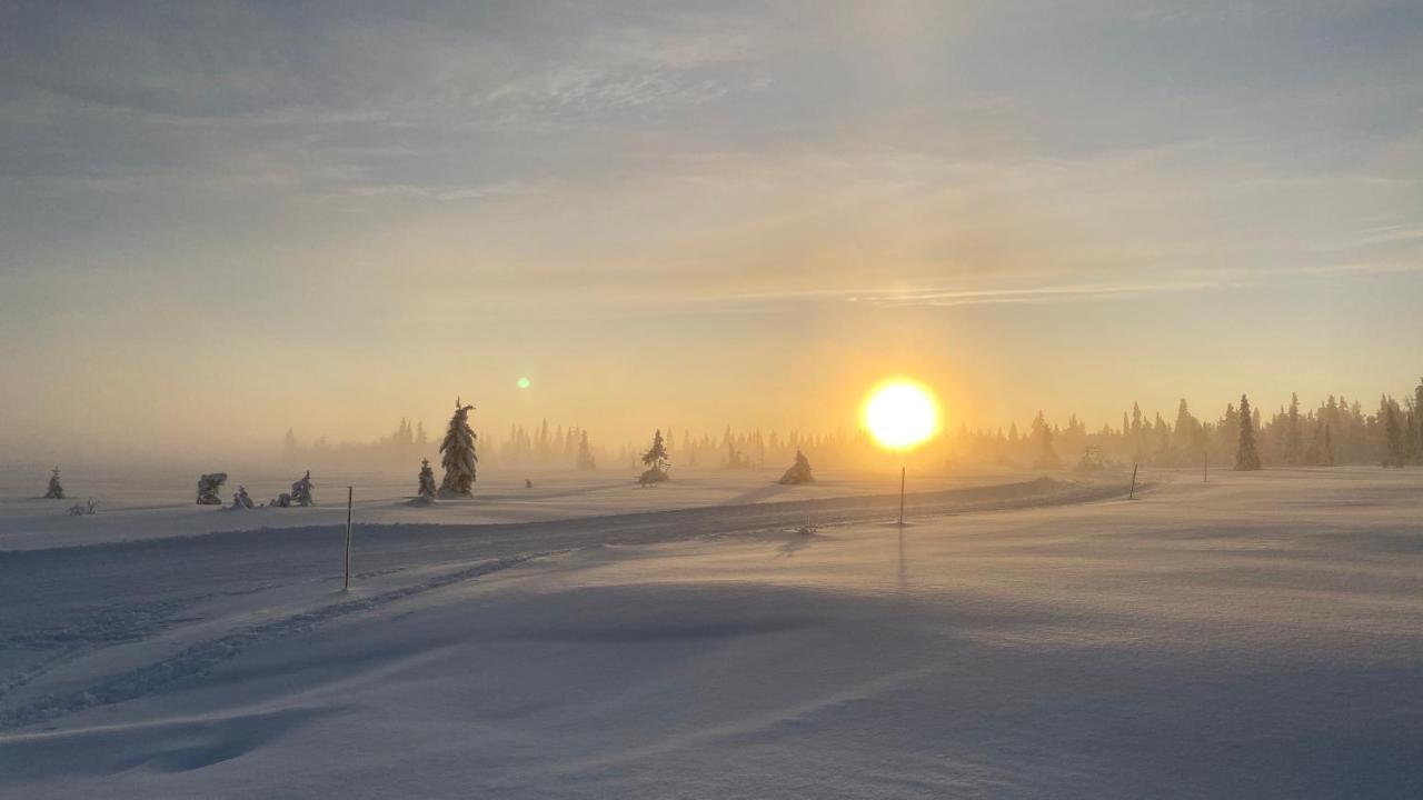 Bjerkely, Sjusjoen Villa Exteriör bild