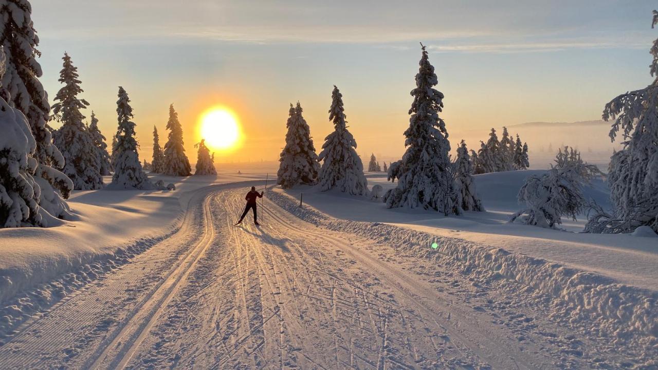Bjerkely, Sjusjoen Villa Exteriör bild